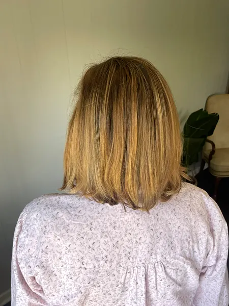 Before — highlights refresh